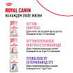 Royal Canin Kitten Sterilised Корм сухой сбалансированный для стерилизованных котят до 12 месяцев, 0,4 кг